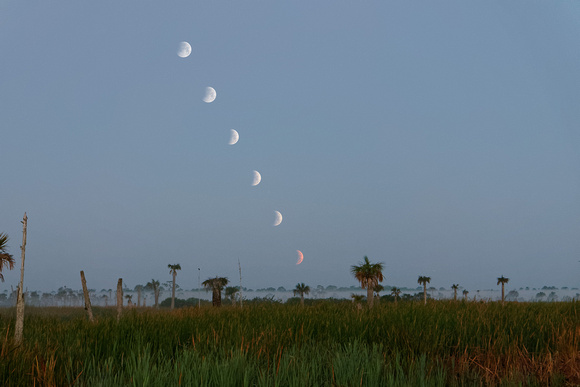 Partial Lunar Eclipse - Viera Wetlands - April 4, 2015
