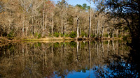 Withlacoochee River 12-29-11