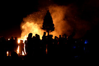 Tree Burn 2013