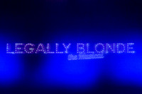 Legally Blonde - April 4, 2014