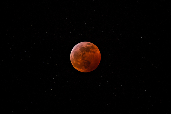 Super Blood Wolf Moon Eclipse - January 20/21, 2019