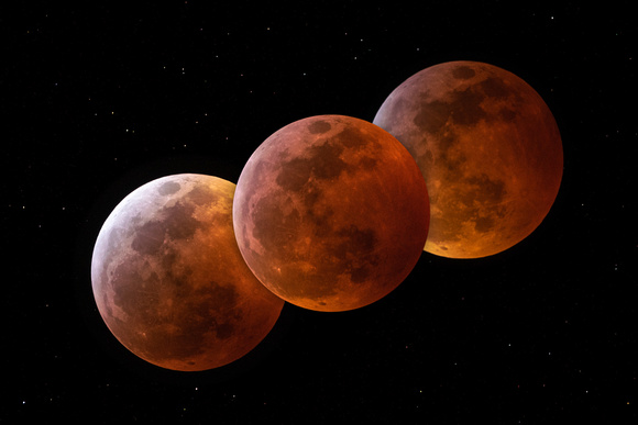 Super Blood Wolf Moon Eclipse - January 20/21, 2019