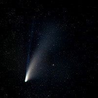 Comet Neowise - Fort Drum Marsh Conservation Area